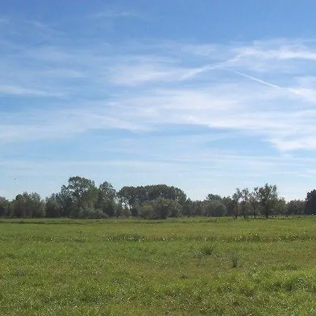 Zur-alten-schmiede-ii Appartement